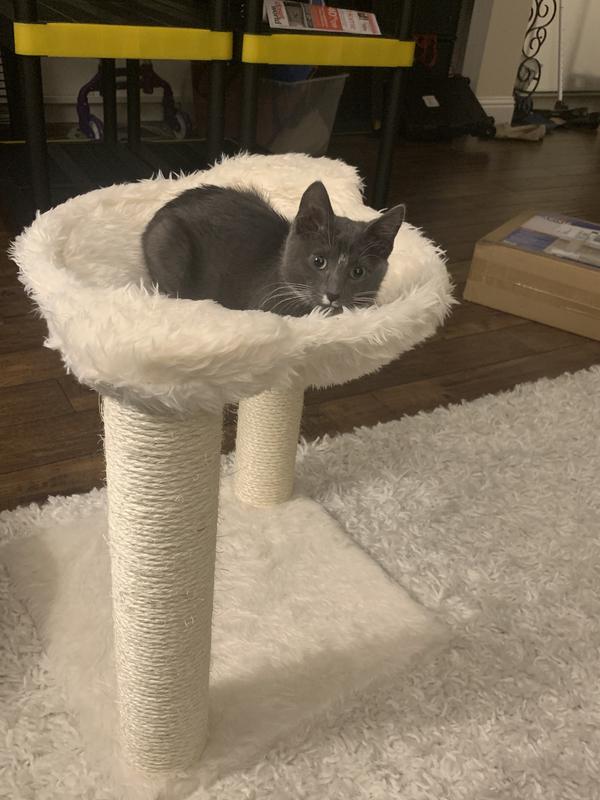 TRIXIE DreamWorld Baza Cat Scratching Post, 19.5