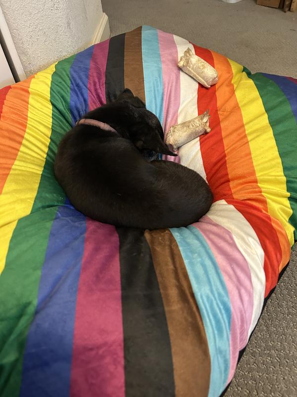 Sleepy