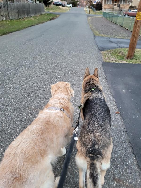 Photo - commentaire&nbsp;1.