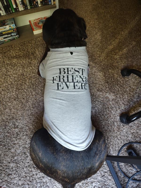 Reddy BFF Dog Tee, Olive, XSmall Petco