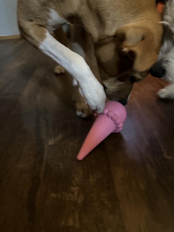 Ice Cream Cone Freeze Dog Toy – Swoof.