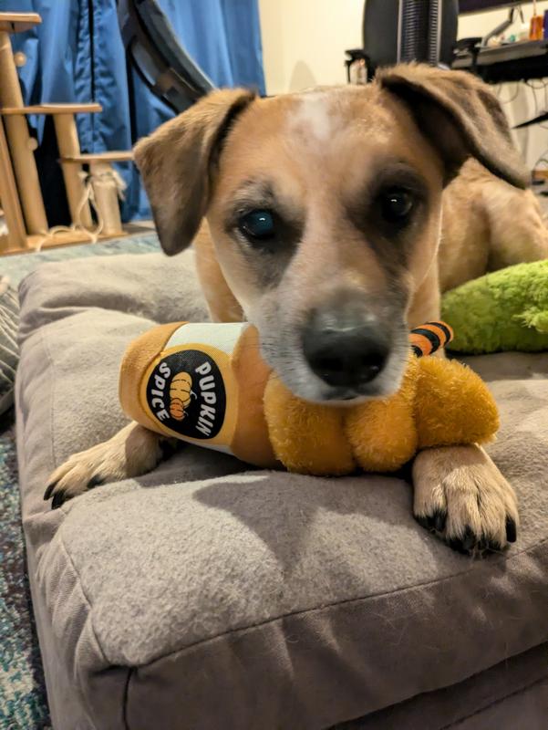 Photo - commentaire&nbsp;7.