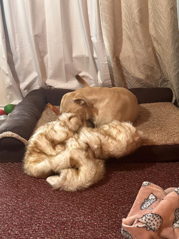 A little playtime