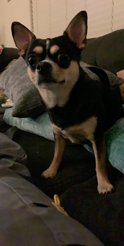 Rocky