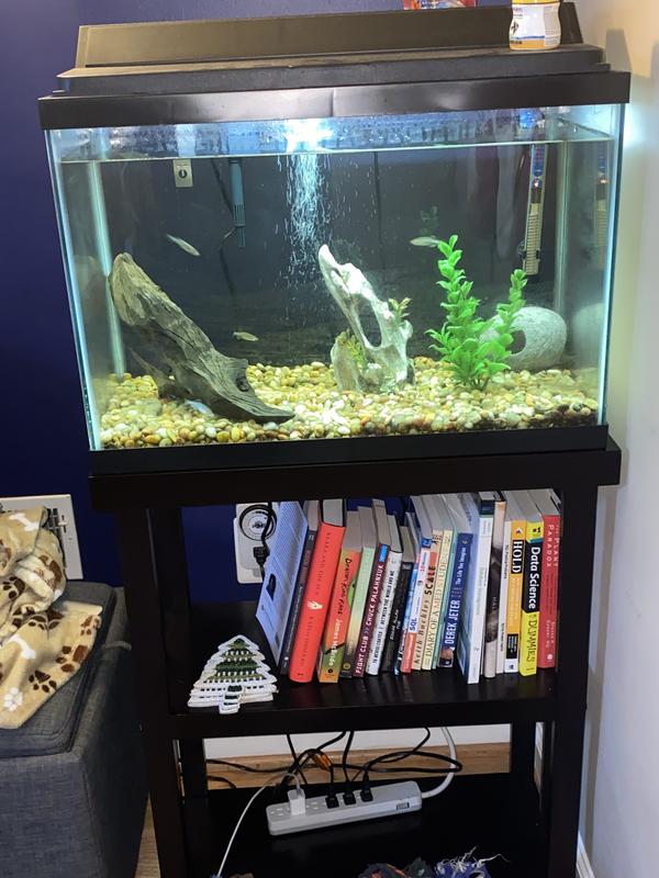 Imagitarium newport wooden tank stand sale