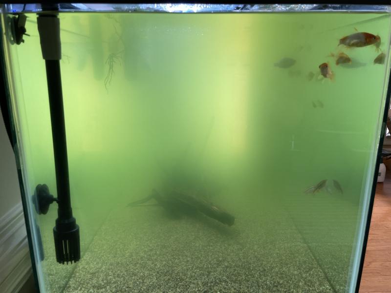 Best JUWEL Bioflow Filter Setup Biomedia Big Fish Tank 