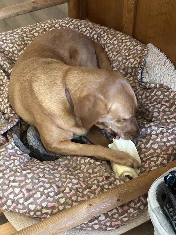 Emma enjoying her treat!