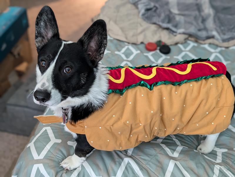 Photo - commentaire 3.