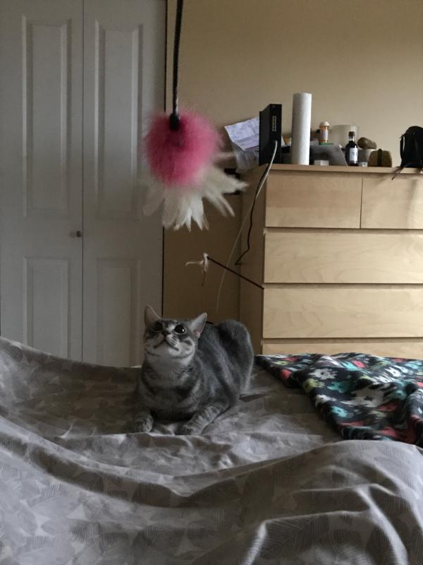 Wait for it