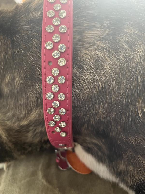 Pink New Bling Rhinestone Dog Collars Leather Crystal Jeweled Pet Collar 5  Sizes
