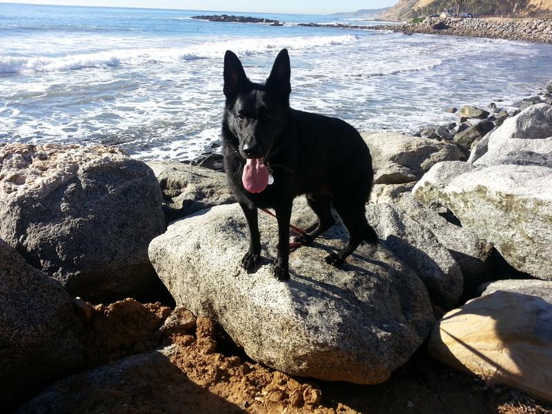 Beach Baby