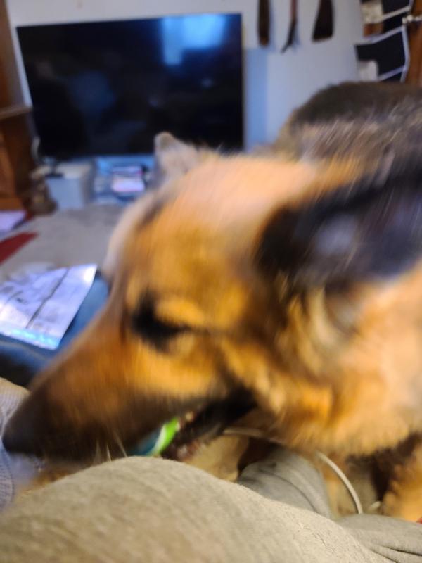 ADDICTED to SQUEAKER!