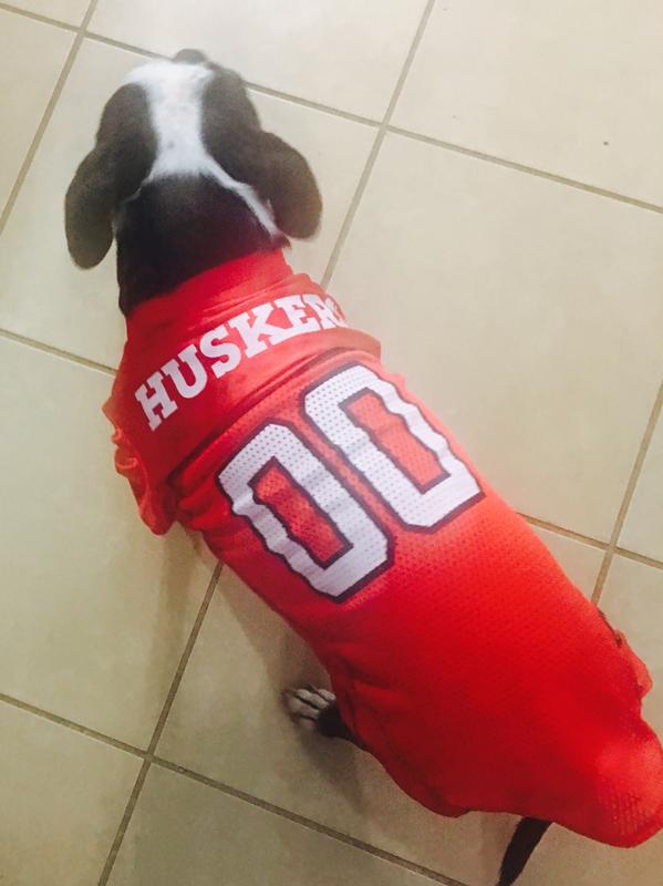The Worthy Dog Ohio State Buckeyes Football Jersey for Dogs