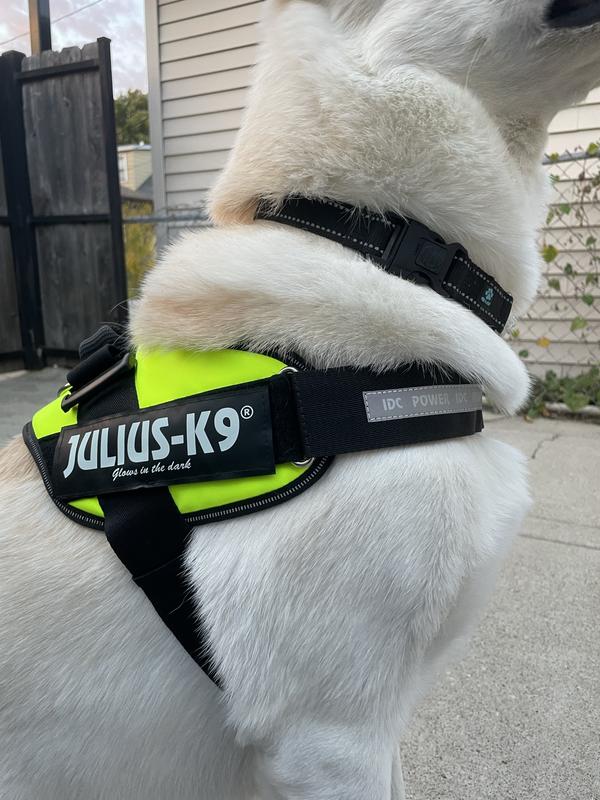 Julius-K9 UV Neon Green Dog Harness, 3X-Small