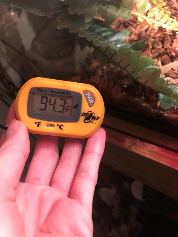 REPTI ZOO Digital Thermometer Hygrometer, High Presicion Sensitive  Thermometer and Humidity Gauge for Reptile Terraium Aquarium with High and  Low