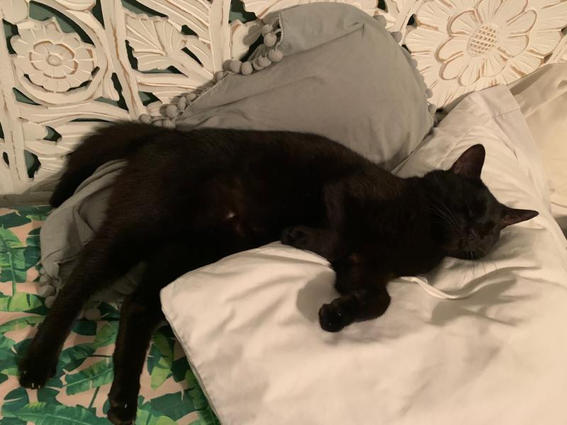 Full belly