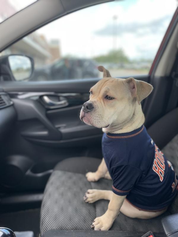  Pets First MLB Houston Astros - Camiseta para mascotas vintage  para perros y gatos : Productos para Animales