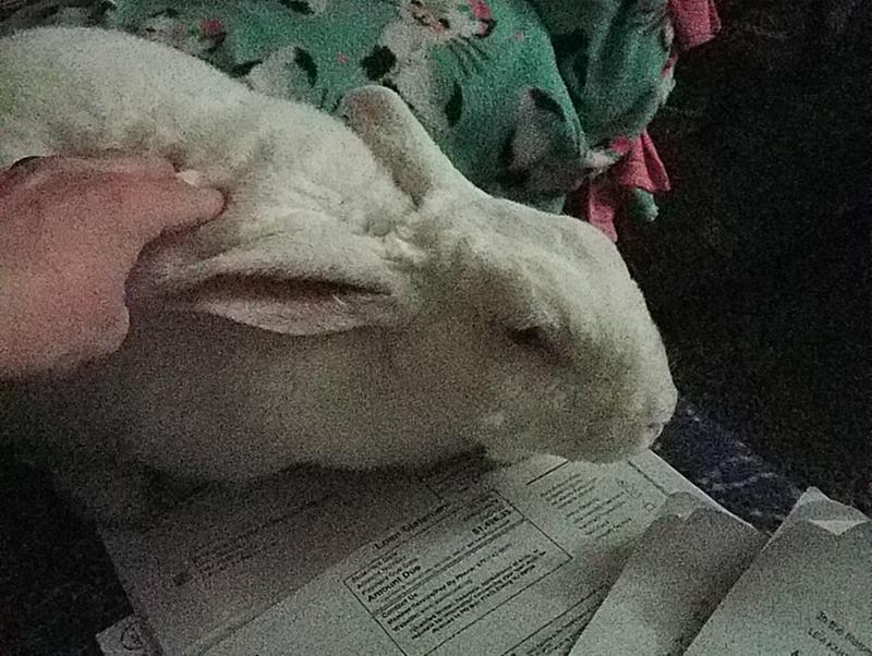 Happy Sophie
