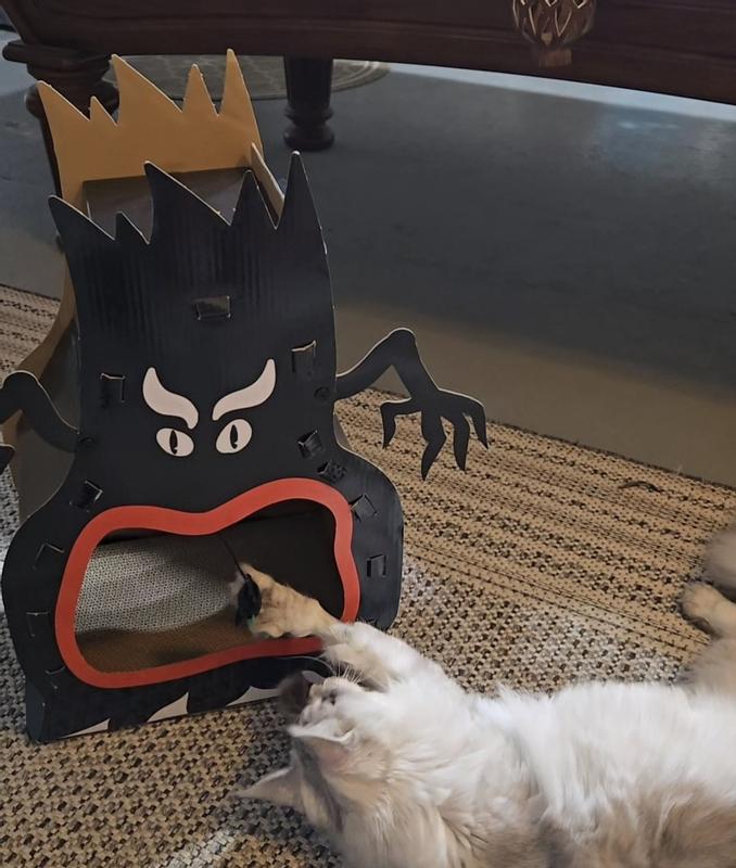 Playing with the spider and loving it