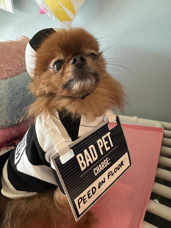 Cute Prisoner