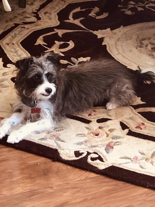 My little girl Sophie