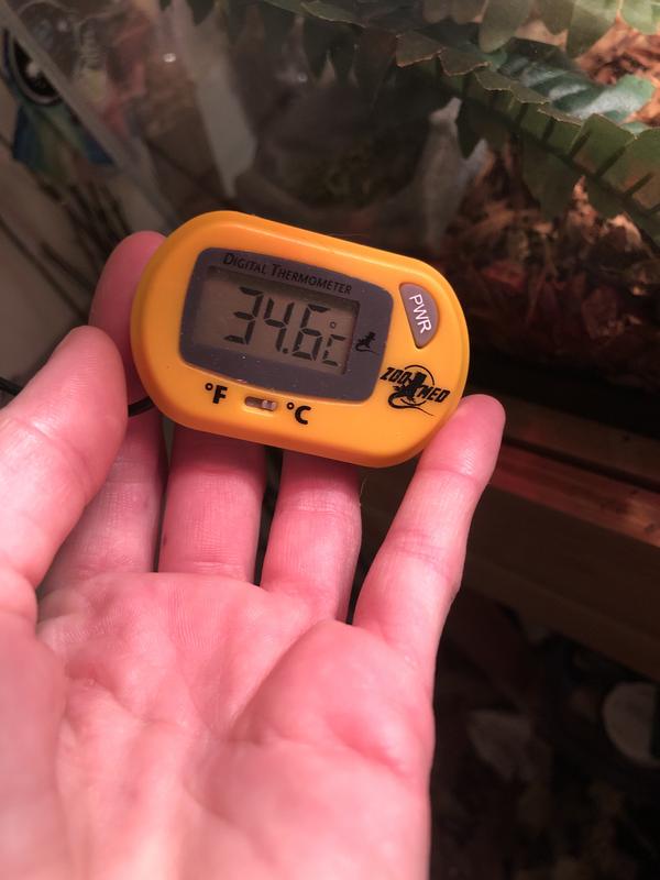 Zoo Med Digital Terrarium Thermometer with Temperature Probel