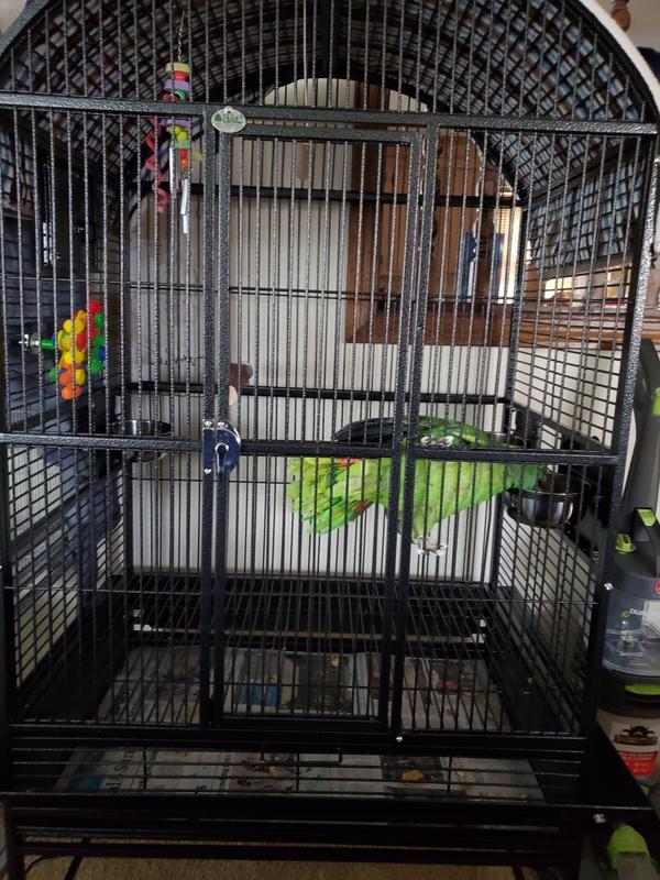 A&E Cage Company Black Palace Dometop Bird Cage, 32 L X 23 W X 63 H