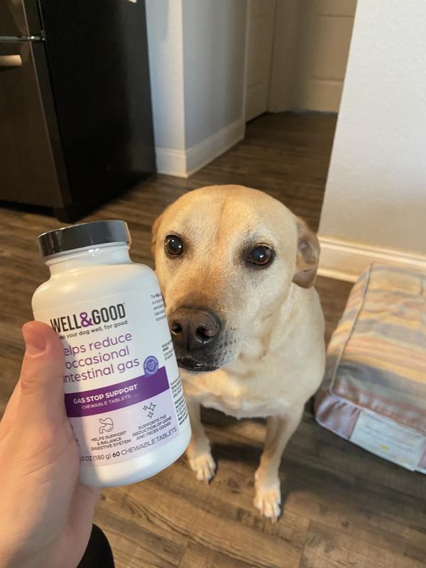 Well Good Dog Gas Stop Chewable Tablets Count of 60 Petco