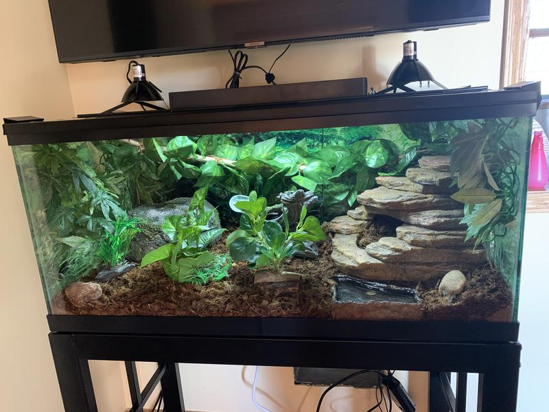 Imagitarium Terrarium Screen, 40B/50-Gallon | Petco