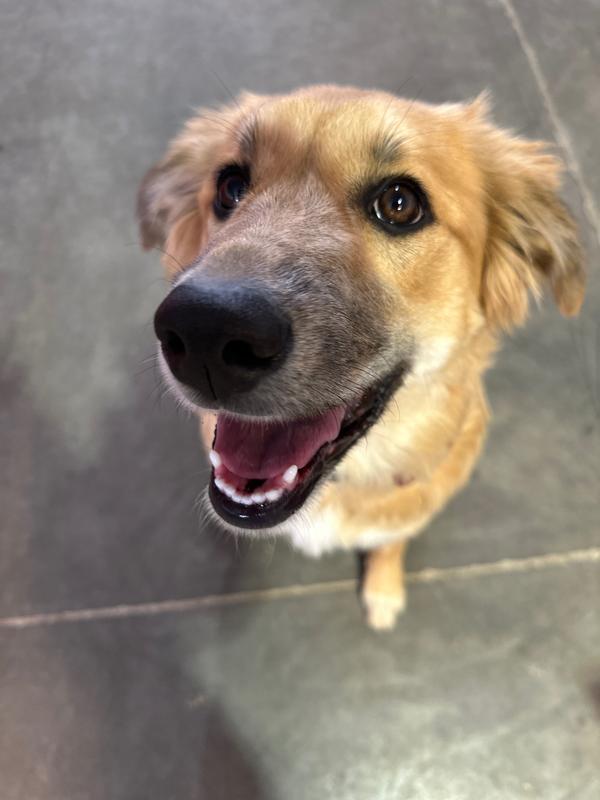 Photo - commentaire 1.