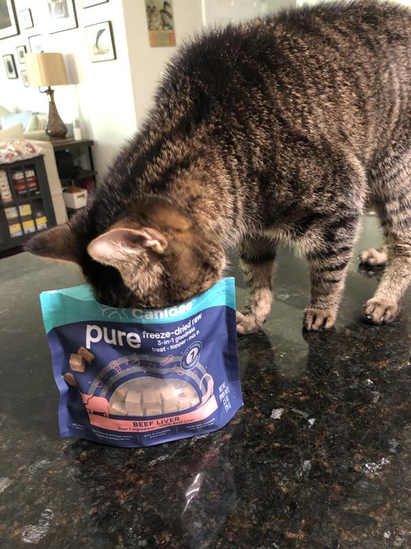 Canidae cat food outlet petco