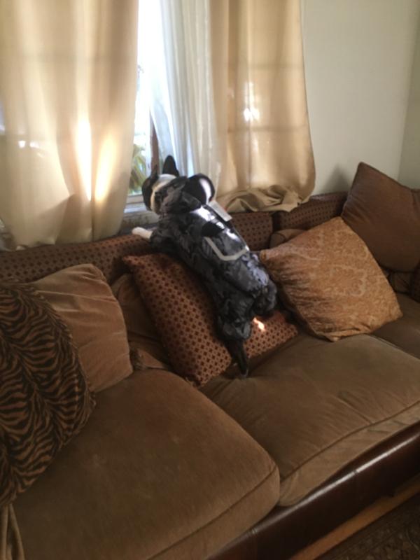 Reddy XXSmall Primaloft Black Camo Dog Snowsuit & Style