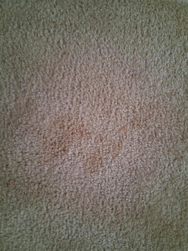 First spot before I tried cleaning it