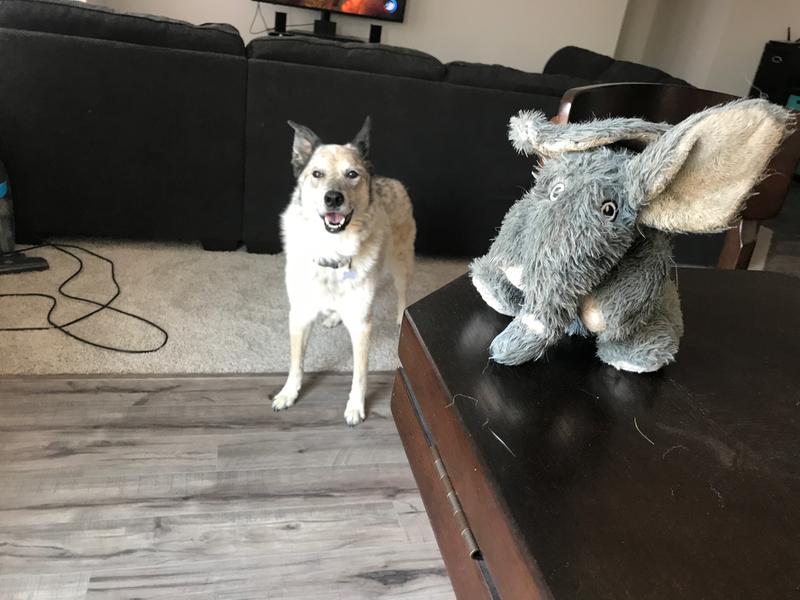 Broken and adorable