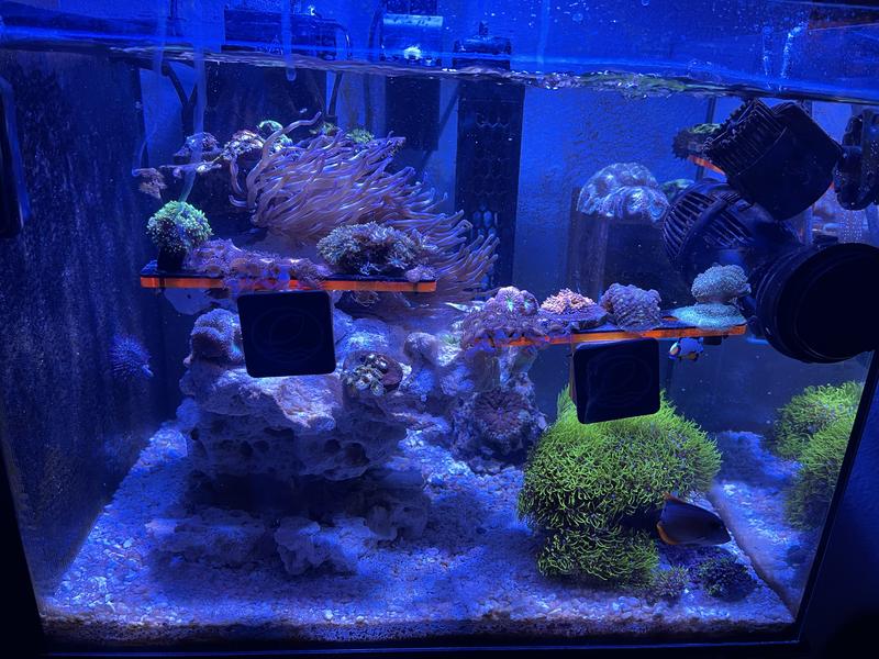 New sand