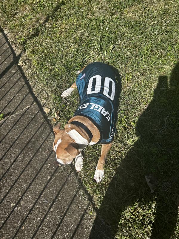 Philadelphia Eagles Dog Jersey - Medium