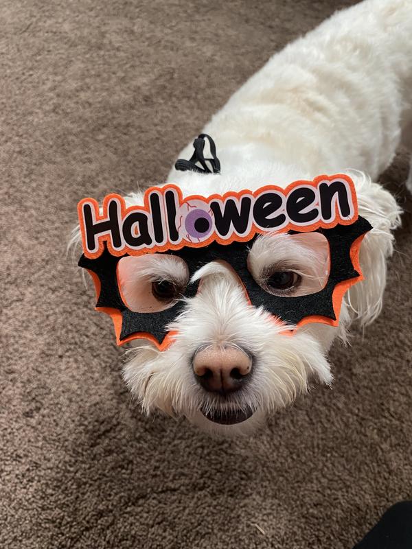 Ready for Halloween!