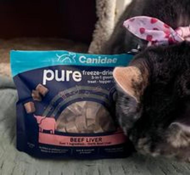 Canidae cat food petco sales