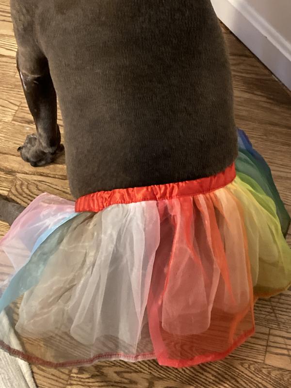 My only complaint is that the skirt sits very low on my dog’s hips. This may just be because of her body type but it’s something to keep in mind if you have a pit bull or a dog with a similar body type.