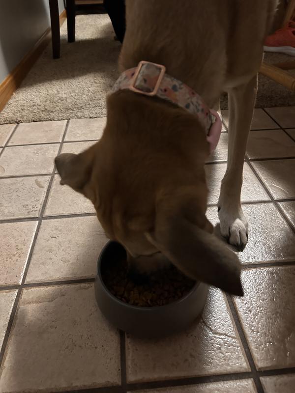 She was chowing down