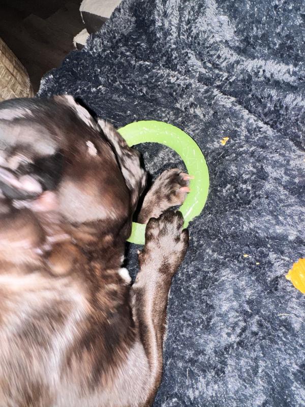 Quavo in action!