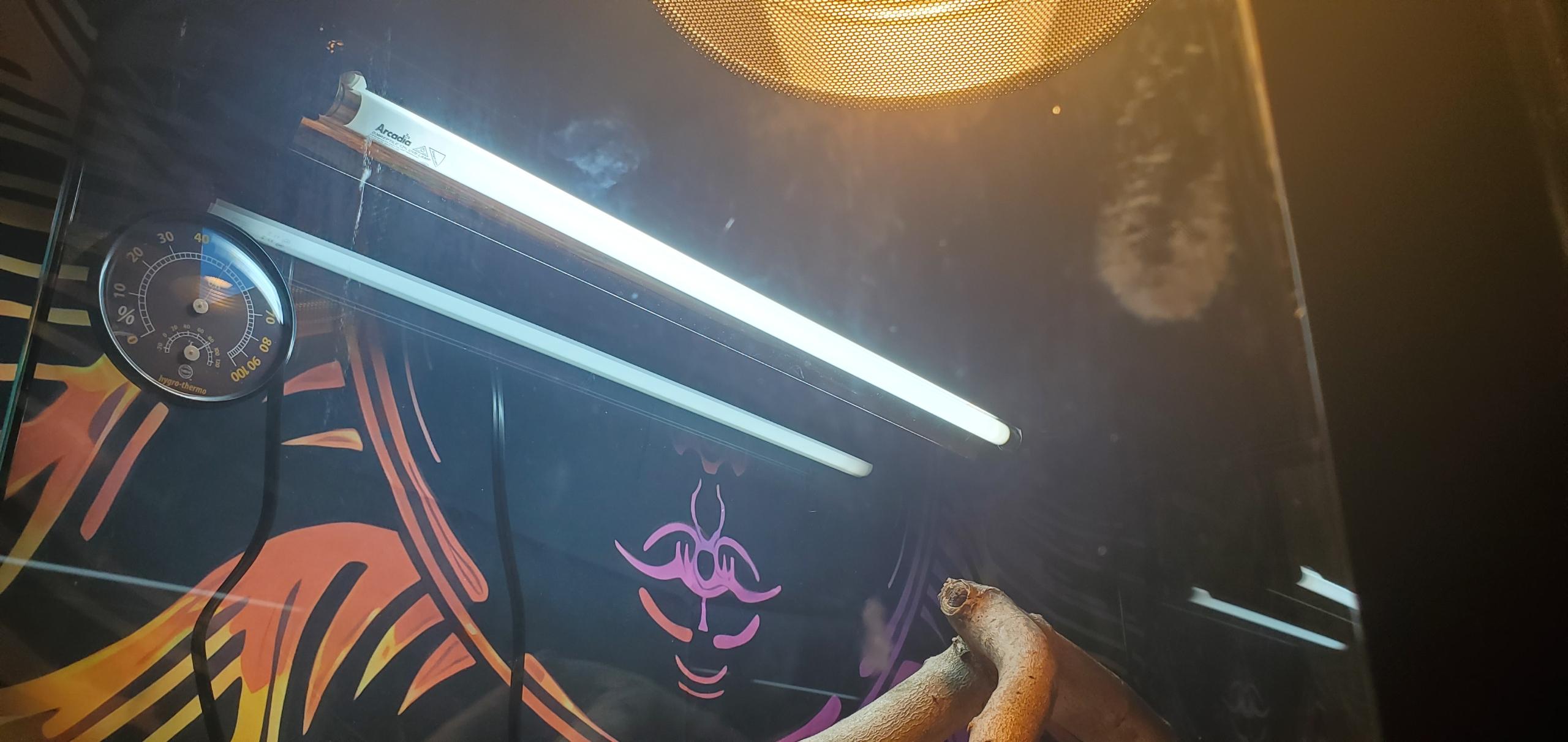 ペット照明 Arcadia Reptile Pro T5 UVB 24W 爬虫類 Arcadia Pro