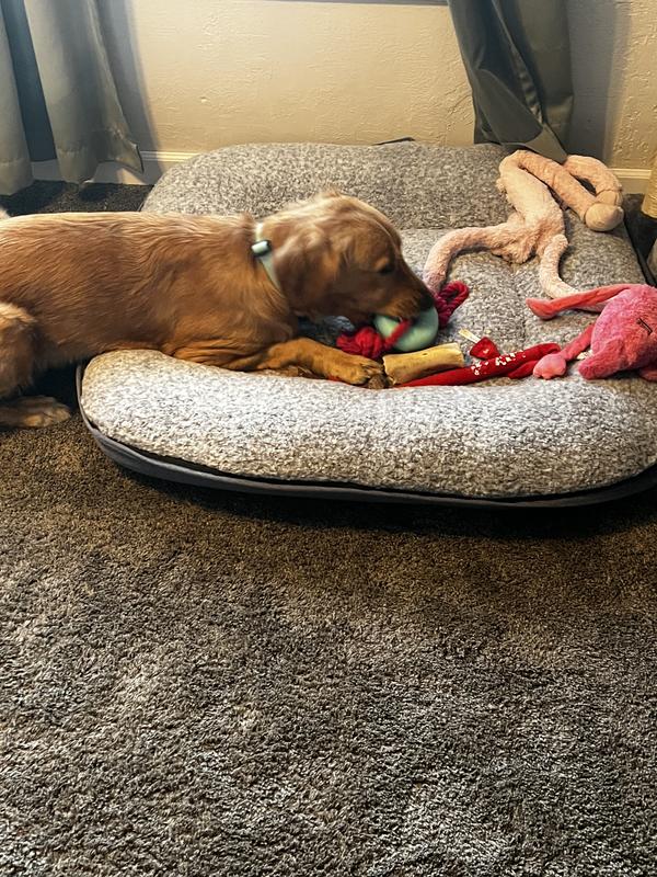 Great for solo chewing