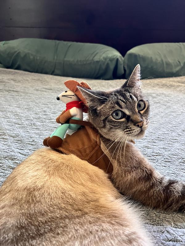 Fine! I will wear this but I’m not going outside.