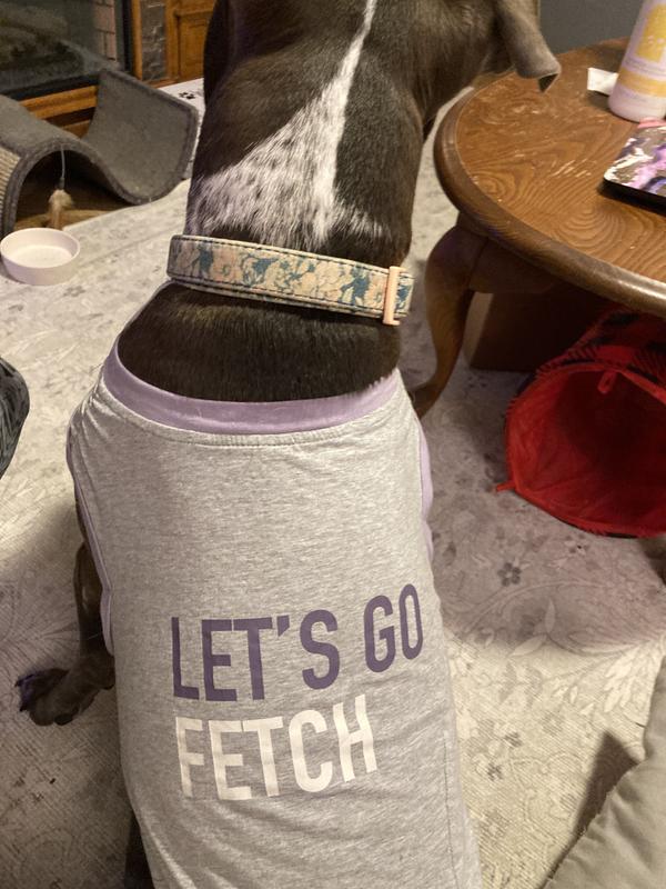 Reddy Go Fetch Twist Tee for Dogs X Small Gray Petco