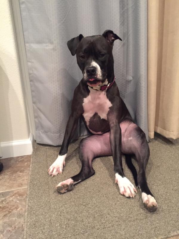 Nala with her full belly.