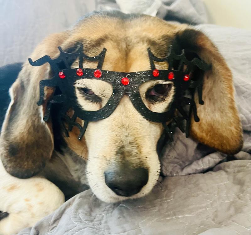 He naturally has googly eyes but the glasses definitely enhanced that.
