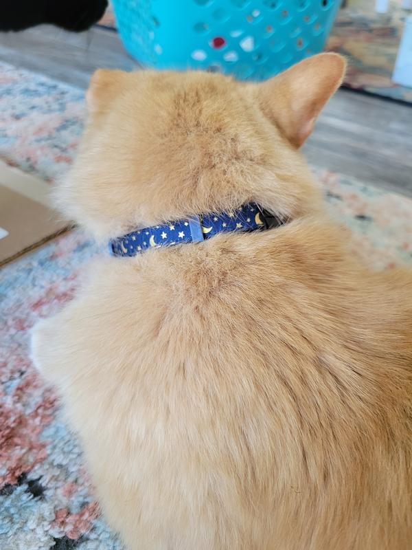 MLB CAT Collar Chicago Cubs Satin Cat Collar Baseball Team Collar for Dogs  & Cats. A Shiny & Colorful Cat Collar with Ringing Bell Pendant