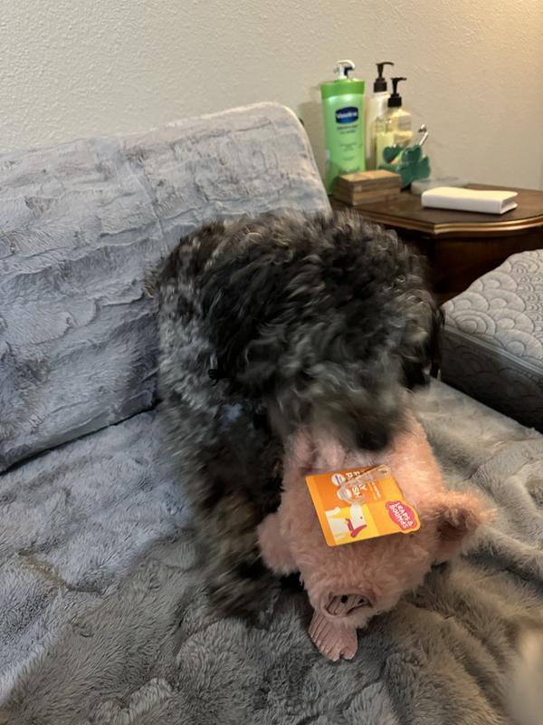 So excited, couldn’t even take the tag off before he wanted to try it!