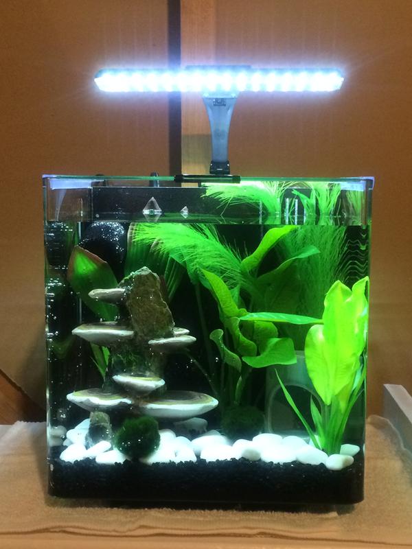 Imagitarium deluxe freshwater aquarium best sale 3.7 setup